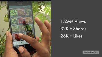 Growth Hacking Examples by Aquo Digital