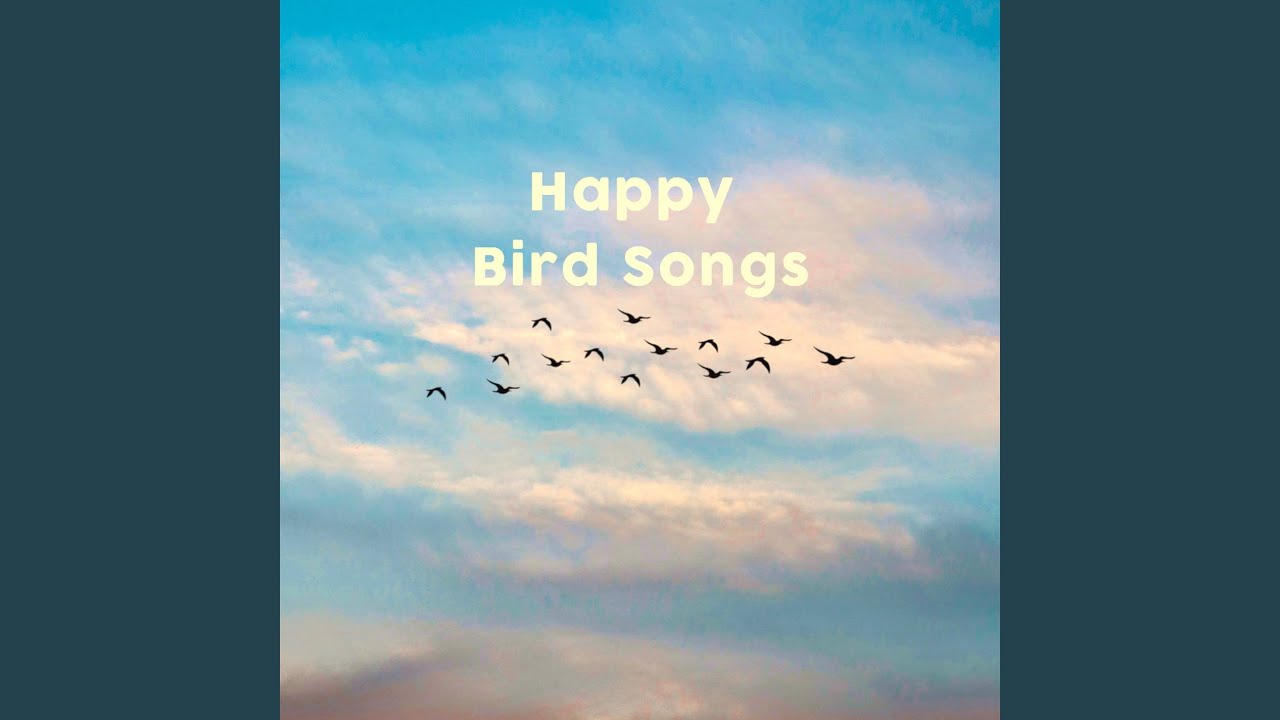 Crickets Singing Loopable YouTube