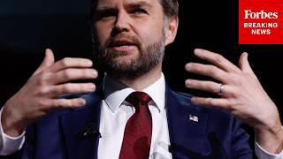 'Let Me Just Give You A Couple Of Examples...': JD Vance Details Shocking Cases Of Fraud