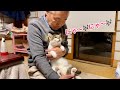 住職の膝上で歌いまくりなこーちゃんがかわいい!