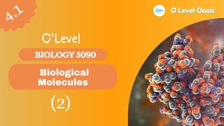 Monomers & Polymers | ‎O Level Biology | chapter 4 | Biological Molecules| 5090 biology | Unit: 4.1