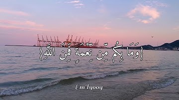 القارئ محمد كمال هاشم - {وما بكم من نعمة فمن الله ثم إذا مسكم الضر فإليه تجأرون} - {سورة النحل}