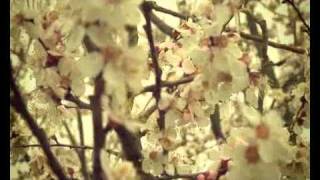 Pixel Entertainment. .Pixel.af.