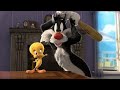 Looney Tunes / Piolin y Silvestre: Me pareció ver a un lindo gatito (cortometraje 3D de 2011).