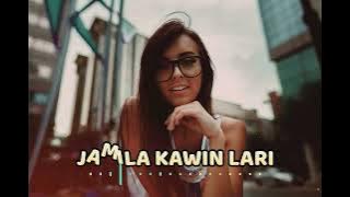 LAGU JOGET TERBARU - JAMILA KAWIN LARI - VIRAL TIK TOK 2025
