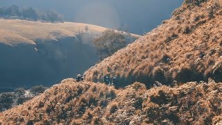 Puisi Alam - Fourtwnty. Ranu Kumbolo - Gunung Semeru