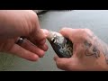 waxing the crappie in the December rain