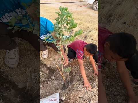 من أصدق المشاهد طفل صغير يغرس شجرة بيديه