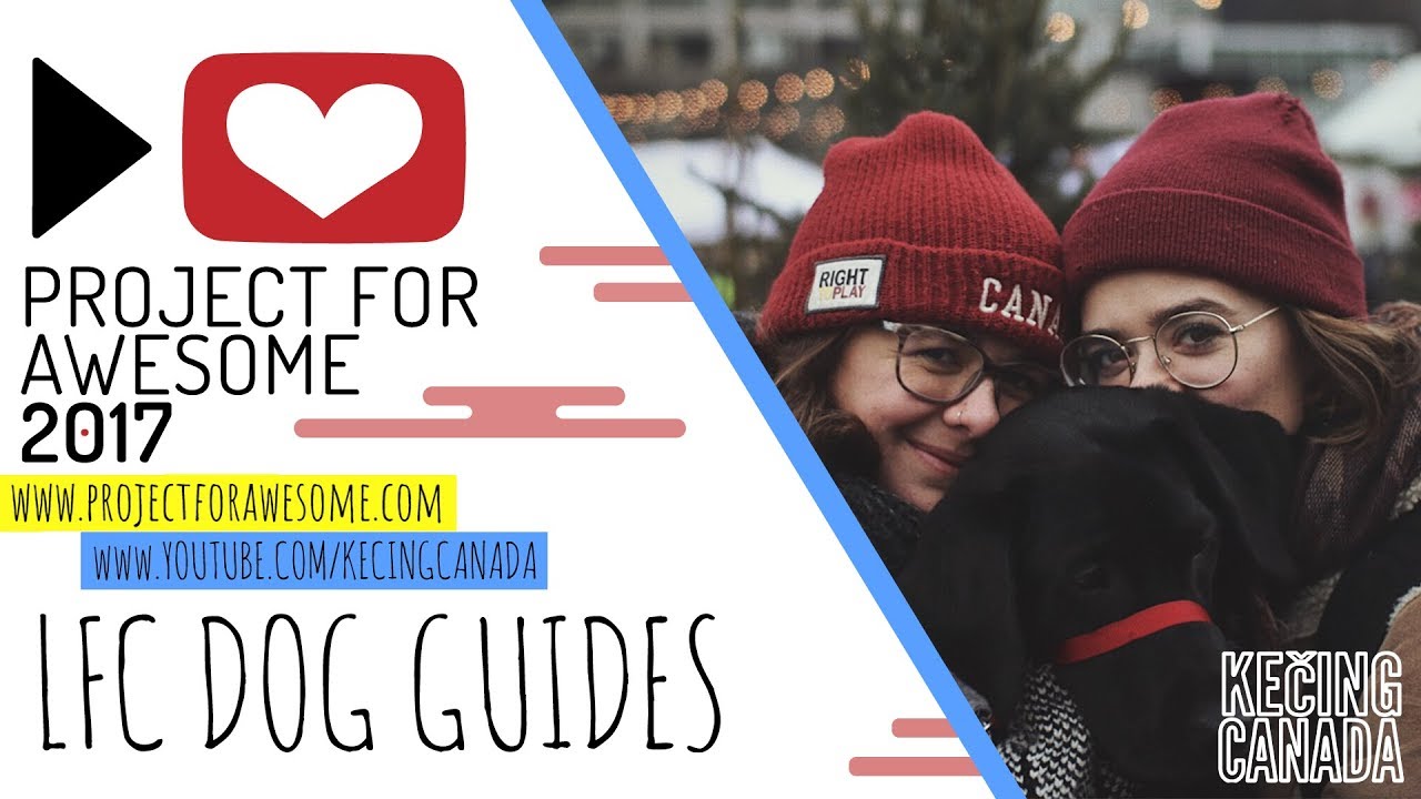 P4A 2017: LFC Dog Guides