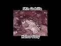 Shin Godzilla Analog Horror Story