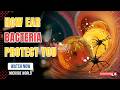 How Ear Bacteria Protect You 🛡️🧬