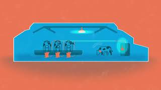Farm Proof Technology - Nedap CowControl