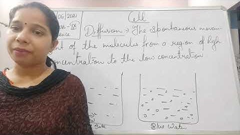 Class IX Science 15 06 2021 by Ms Mridulata upadhyay Cell