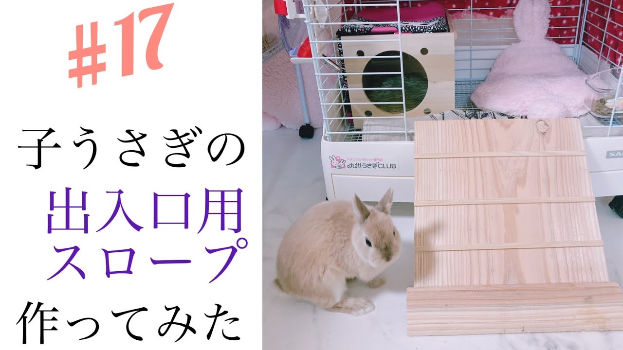 17 子うさぎに出入り口用のスロープを手作りしてみた うさぎ Youtube 17 子うさぎに出入り口用のスロープを手作りしてみた うさぎ Youtube