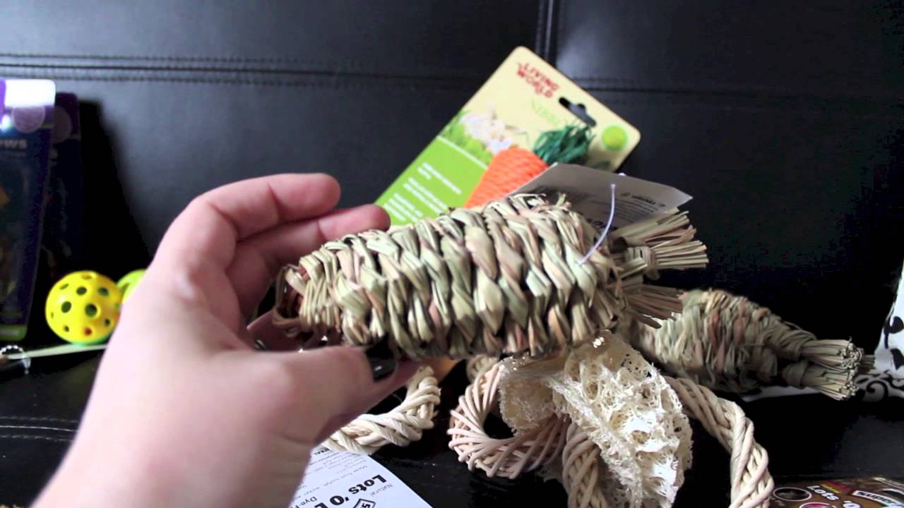 do it yourself pest control coupon BudgetBunny: 500+ Subscribers Contest Prizes