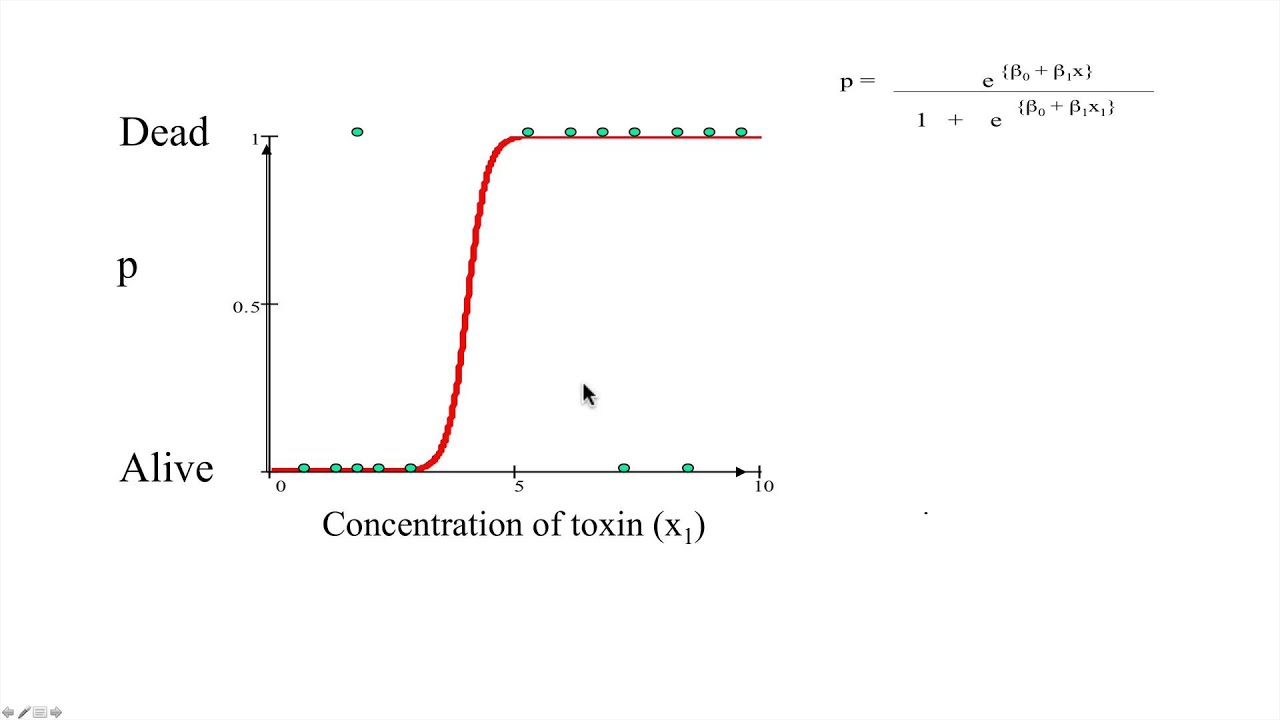 hypothesis for binary logistic regression