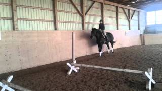 Kodi trot with harley