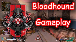 Apex Legends Bloodhound Gameplay Season 4 No Commentary