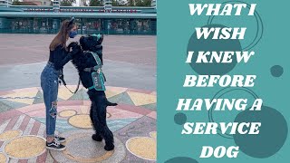 What I Wish I Knew Before Getting A Service Dog ll 2021