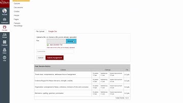 Peer Review Assignments