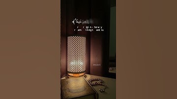 القارئ عبد الوهاب طاهر لطيف