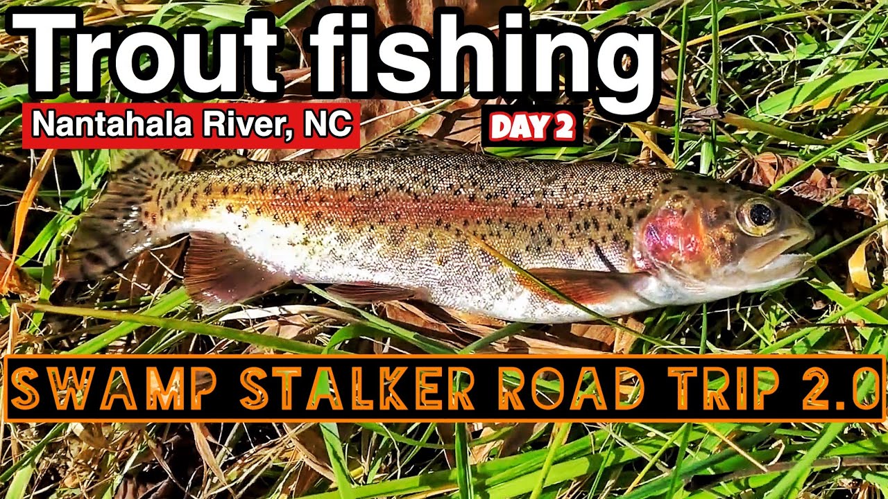 Trout Fishing the Nantahala River, North Carolina Day 2 YouTube