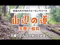 奈良・山辺の道を夫婦で歩いてみた｜ぶらり散歩｜Yamanobe no Michi Trail , Nara, Japan