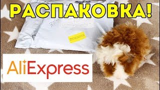 РАСПАКОВКА: лежак для морских свинок с AliExpress / SvinkiShow РАСПАКОВКА: лежак для морских свинок с AliExpress / SvinkiShow