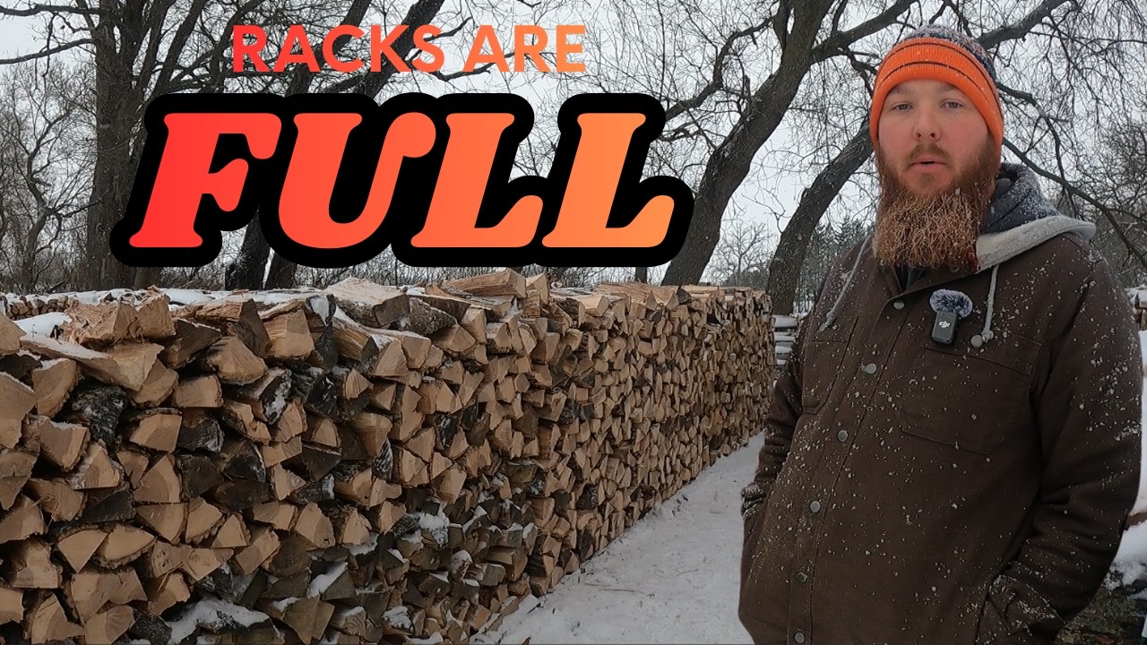 Обработка ясеневых дров | Распиловка, колка и укладка половины кубометра за один день