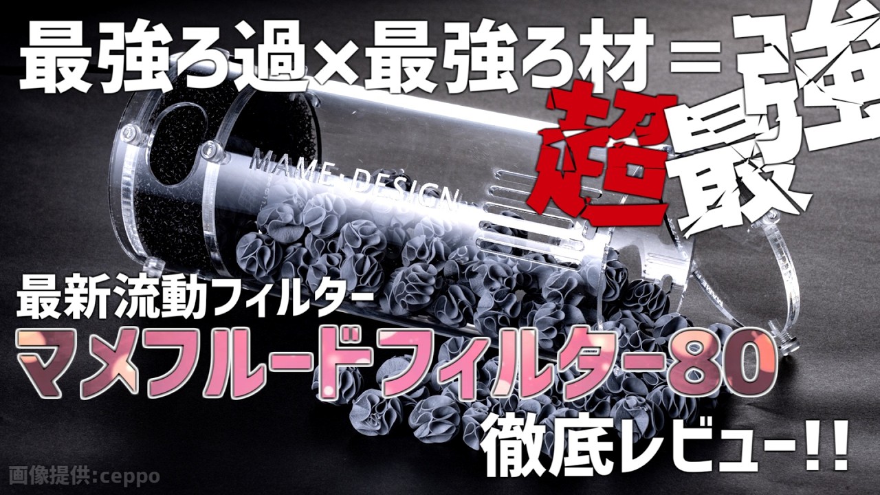 Japan Premiere] The Ultimate Filter Meets the Ultimate Filter