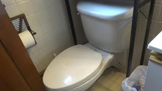 WALL HUNG POWER FLUSH TOILET LEAKING WATER FIXED