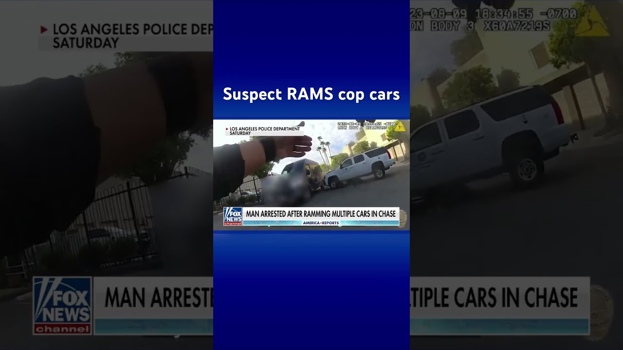 Suspect hits cop cars after police open fire on stolen vehicle 