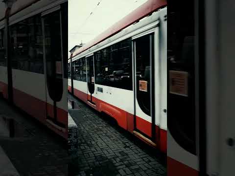 Video: Tramvajska postaja. Moskovski tramvaji