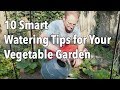 Top Plants Should You When Outdoor