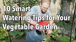 10 Smart Watering Tips for Your Vegetable Garden