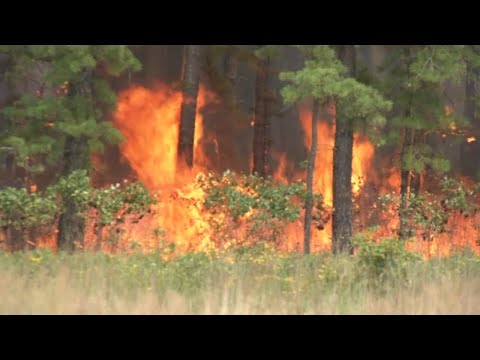 Video: Har atco dragway sålts?