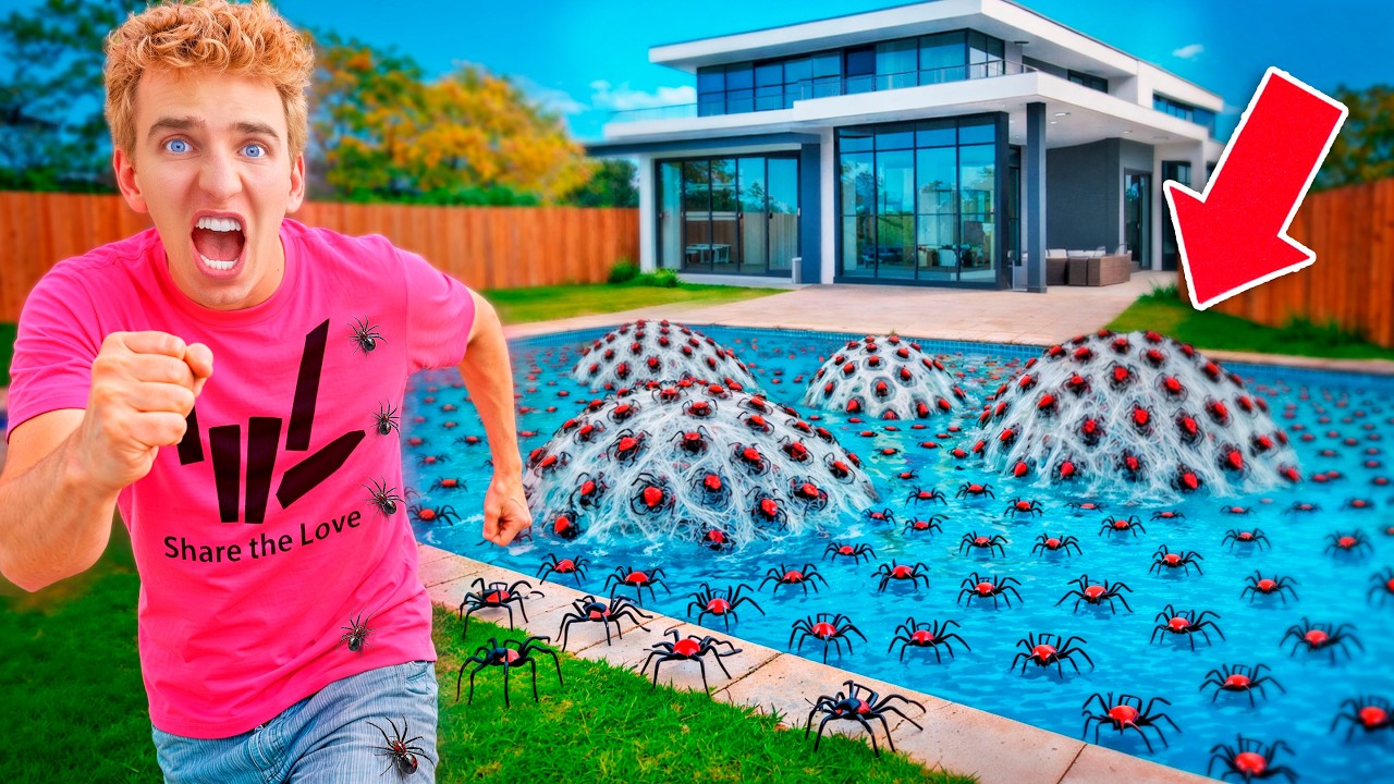 My Pool is INFESTED with Deadly Spiders!
