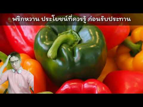 ประโยชน์ข้อดีของพริกหวาน พริกหยวก ไอเดียการกินการใช้พริกหยวกเพื่อสุขภาพ