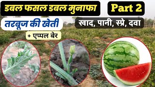 तरबूज की खेती की बुवाई के बाद देखभाल कैसे करें Part 2 // Watermelon farming // tarbooj ki kheti