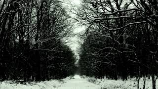 Sia - My Love Slow Down