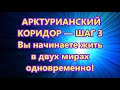 АРКТУРИАНСКИЙ  КОРИДОР — ШАГ 3-  Вы начинаете жить  в двух мирах  одновременно!