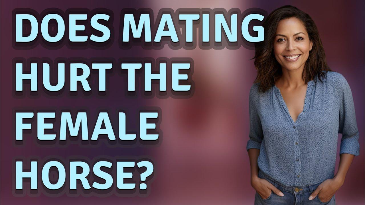 Does mating hurt the female horse? - YouTube
