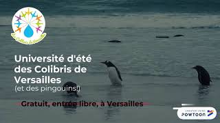 Université Dété Des Colibris Et Pingouins
