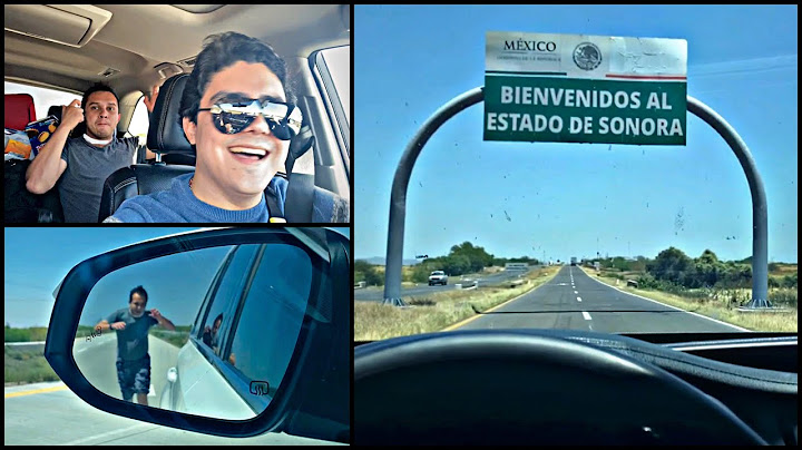VIAJANDO A SONORA | LOS TOYS