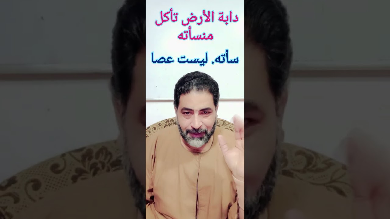 ( دابة الأرض تأكل منسأته ) ..ما معنى منسأته .. وهل فعلا أجساد الأنبياء محرمة على الأرض ؟ أى لا تتحلل