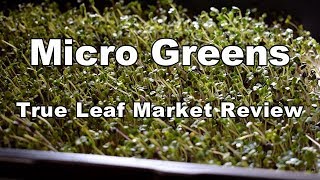 Micro Greens Starter Kit