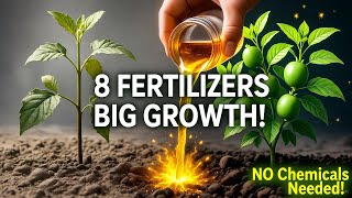 8 Natural and Organic Fertilizers to Grow Big Plants