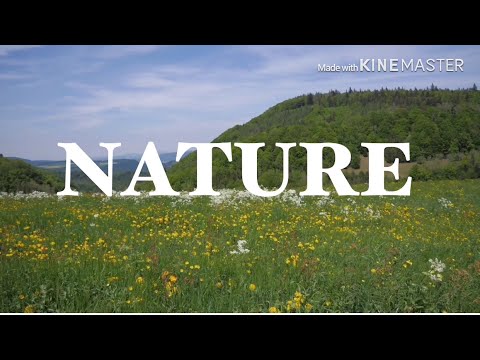 Video: What Is Nature