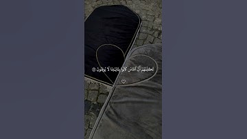 سوره النمل القارئ عبدالرحمن مسعد #عبدالرحمن_مسعد #اكسبلور #قرآن #لايك #ياسر_الدوسري #اسلام_صبحي