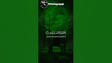 Surah Ar-Rahman with a very beautiful voice سورة الرحمن بصوت جميل جداً
